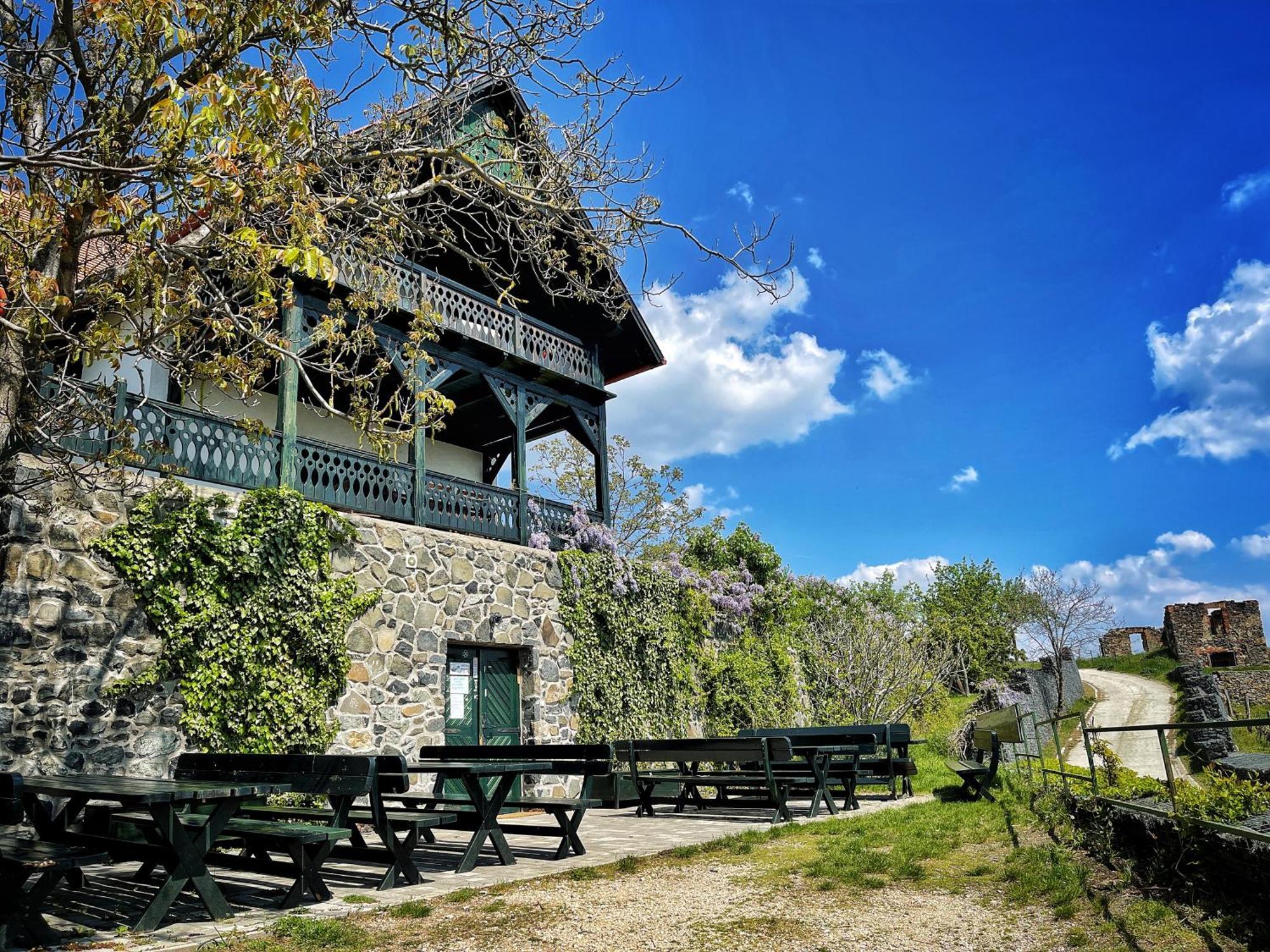 Somlovasarhely Somlo Wineshop Guesthouse المظهر الخارجي الصورة