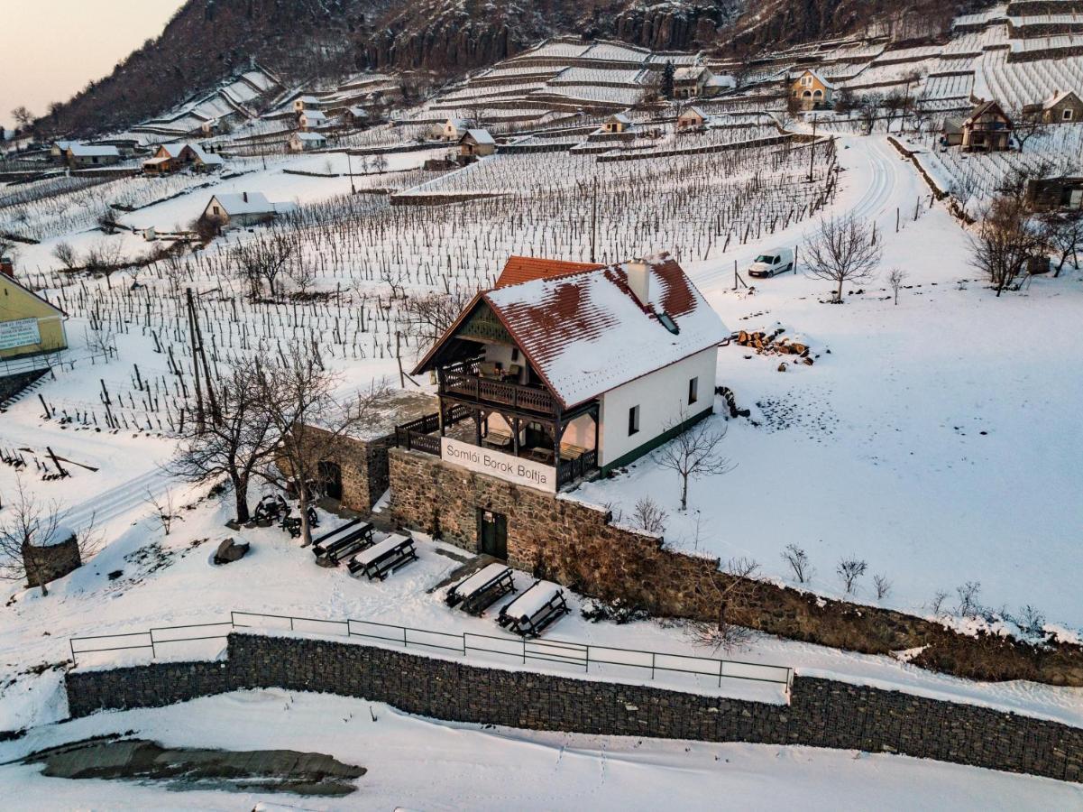 Somlovasarhely Somlo Wineshop Guesthouse المظهر الخارجي الصورة