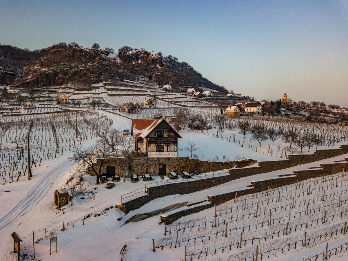 Somlovasarhely Somlo Wineshop Guesthouse المظهر الخارجي الصورة